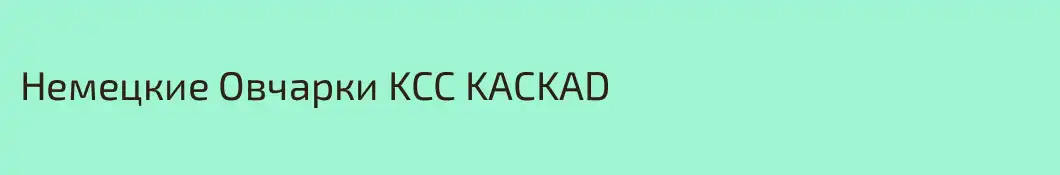 Немецкие Овчарки KCC KACKAD